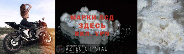 стаф Алзамай