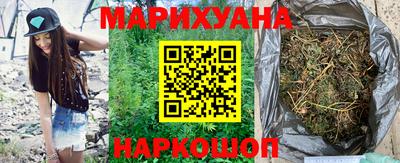 крисы Кунгур