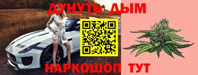 крисы Кунгур