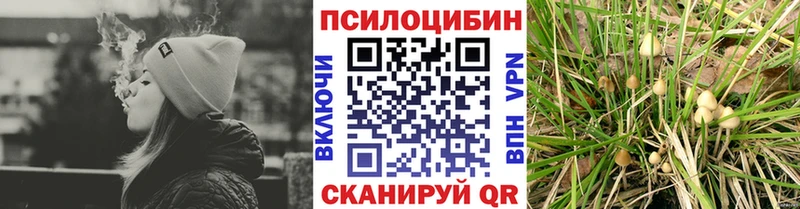 Псилоцибиновые грибы Psilocybine cubensis  маркетплейс официальный сайт  Советск 
