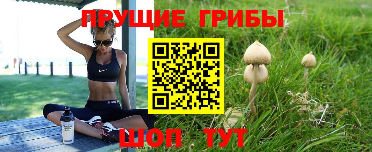 Галлюциногенные грибы GOLDEN TEACHER  Вход с VPN  Псилоцибиновые грибы MAGIC MUSHROOMS  Советск 