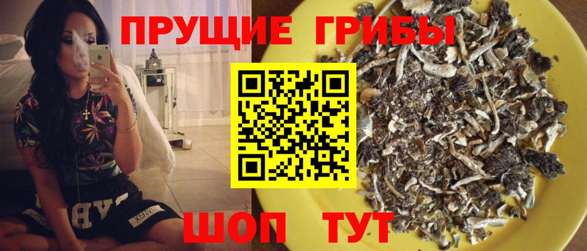Галлюциногенные грибы MAGIC MUSHROOMS Советск