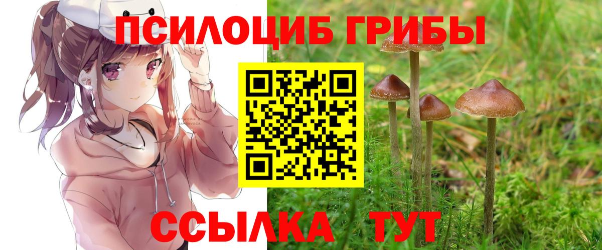 где купить наркоту  Псилоцибиновые грибы прущие грибы  Вход с VPN  Советск 