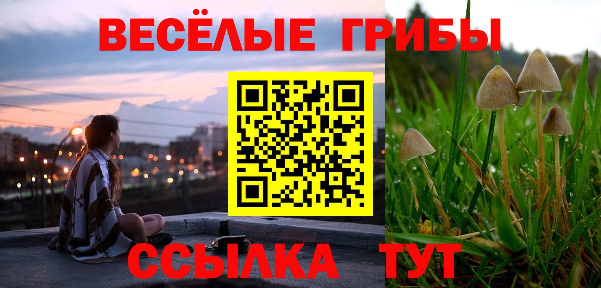 Галлюциногенные грибы MAGIC MUSHROOMS Советск