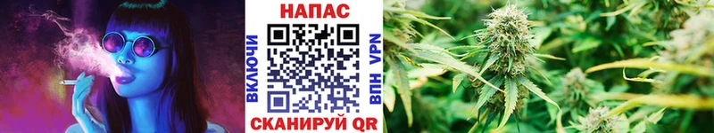 Бошки марихуана ГИДРОПОН  гидра   Советск 